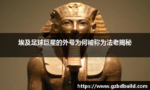 埃及足球巨星的外号为何被称为法老揭秘